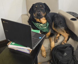 Every Student is Successful